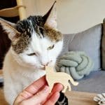 Drewniana Układanka 3D Kociarza7
