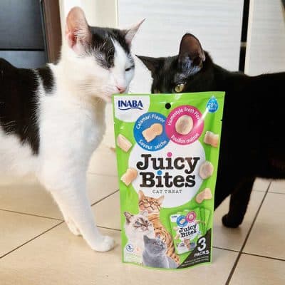 Juicy Bites domowy rosół i kalmary 3 x 11,3 g INABA